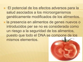  ·El potencial de los efectos adversos para la
salud asociados a los microorganismos
genéticamente modificados de los alimentos.
 la presencia en alimentos de genes nuevos o
introducidos per se no es considerada como
un riesgo a la seguridad de los alimentos,
puesto que todo el DNA se compone de los
mismos elementos.
 