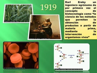 Karl Ereky un
ingeniero agrónomo da
por primera vez el
concepto de
biotecnología como “la
ciencia de los métodos
que permiten la
obtención de
productos a partir de
materia prima,
mediante la
intervención de
organismos vivos”
 