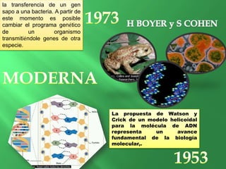 La propuesta de Watson y
Crick de un modelo helicoidal
para la molécula de ADN
representa un avance
fundamental de la biología
molecular,.
la transferencia de un gen
sapo a una bacteria. A partir de
este momento es posible
cambiar el programa genético
de un organismo
transmitiéndole genes de otra
especie.
 