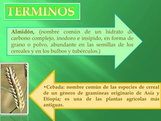 •Cebada: nombre común de las especies de cereal
de un género de gramíneas originario de Asia y
Etiopía; es una de las plantas agrícolas más
antiguas.
Almidón, (nombre común de un hidrato de
carbono complejo, inodoro e insípido, en forma de
grano o polvo, abundante en las semillas de los
cereales y en los bulbos y tubérculos.)
 