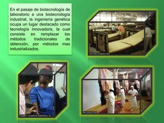 En el pasaje de biotecnología de
laboratorio a una biotecnología
industrial, la ingeniería genética
ocupa un lugar destacado como
tecnología innovadora, la cual
consiste en remplazar los
métodos tradicionales de
obtención, por métodos mas
industrializados.
 