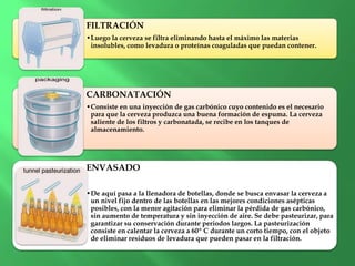 FILTRACIÓN
•Luego la cerveza se filtra eliminando hasta el máximo las materias
insolubles, como levadura o proteínas coaguladas que puedan contener.
CARBONATACIÓN
•Consiste en una inyección de gas carbónico cuyo contenido es el necesario
para que la cerveza produzca una buena formación de espuma. La cerveza
saliente de los filtros y carbonatada, se recibe en los tanques de
almacenamiento.
ENVASADO
•De aquí pasa a la llenadora de botellas, donde se busca envasar la cerveza a
un nivel fijo dentro de las botellas en las mejores condiciones asépticas
posibles, con la menor agitación para eliminar la pérdida de gas carbónico,
sin aumento de temperatura y sin inyección de aire. Se debe pasteurizar, para
garantizar su conservación durante periodos largos. La pasteurización
consiste en calentar la cerveza a 60º C durante un corto tiempo, con el objeto
de eliminar residuos de levadura que pueden pasar en la filtración.
 