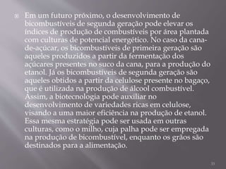  Em um futuro próximo, o desenvolvimento de
bicombustíveis de segunda geração pode elevar os
índices de produção de combustíveis por área plantada
com culturas de potencial energético. No caso da cana-
de-açúcar, os bicombustíveis de primeira geração são
aqueles produzidos a partir da fermentação dos
açúcares presentes no suco da cana, para a produção do
etanol. Já os bicombustíveis de segunda geração são
aqueles obtidos a partir da celulose presente no bagaço,
que é utilizada na produção de álcool combustível.
Assim, a biotecnologia pode auxiliar no
desenvolvimento de variedades ricas em celulose,
visando a uma maior eficiência na produção de etanol.
Essa mesma estratégia pode ser usada em outras
culturas, como o milho, cuja palha pode ser empregada
na produção de bicombustível, enquanto os grãos são
destinados para a alimentação.
33
 