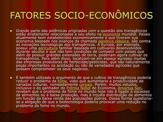 FATORES SOCIO-ECONÔMICOS
 Grande parte das polêmicas originadas com a questão dos transgênicos
estão diretamente relacionadas a seu efeito na economia mundial. Países
atualmente bem estabelecidos economicamente e que tiveram sua
economia baseada nos avanços da chamada genética clássica, são contra
as inovações tecnológicas dos transgênicos. A Europa, por exemplo,
possui uma agricultura familiar baseada em cultivares desenvolvidos
durante séculos e que não tem condições de competir com países que
além de possuir grandes extensões de terra, poderiam agora cultivar os
transgênicos. Para além disso, localizam-se em espaço europeu muitas
das empresas produtoras de herbicidas/pesticidas, que são naturalmente
peças importantes na aceitação ou não de variedades agrícolas que
possam comprometer os seus negócios.
 É também utilizado o argumento de que o cultivo de transgênicos poderia
reduzir o problema da fome, visto que aumentaria a produtividade de
variadas culturas, nomeadamente cereais. Porém, muitos estudos,
inclusive o do ganhador do Prêmio Nobel de Economia, Amartya Sen,
revelam que o problema da fome no mundo hoje não é ligado à escassez
de alimentos ou à baixa produção, mas à injusta distribuição de alimentos
em função da baixa renda das populações pobres. Dessa forma questiona-
se a alegação de que a biotecnologia poderia provocar uma redução no
problema da fome no mundo.
 