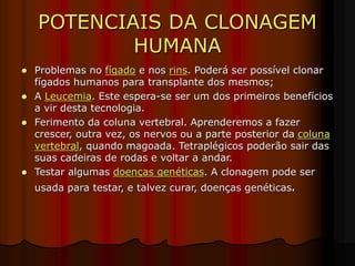 POTENCIAIS DA CLONAGEM
HUMANA
 Problemas no fígado e nos rins. Poderá ser possível clonar
fígados humanos para transplante dos mesmos;
 A Leucemia. Este espera-se ser um dos primeiros benefícios
a vir desta tecnologia.
 Ferimento da coluna vertebral. Aprenderemos a fazer
crescer, outra vez, os nervos ou a parte posterior da coluna
vertebral, quando magoada. Tetraplégicos poderão sair das
suas cadeiras de rodas e voltar a andar.
 Testar algumas doenças genéticas. A clonagem pode ser
usada para testar, e talvez curar, doenças genéticas.
 