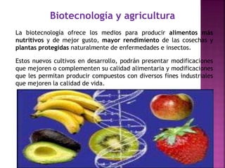 Biotecnología y agricultura
La biotecnología ofrece los medios para producir alimentos más
nutritivos y de mejor gusto, mayor rendimiento de las cosechas y
plantas protegidas naturalmente de enfermedades e insectos.
Estos nuevos cultivos en desarrollo, podrán presentar modificaciones
que mejoren o complementen su calidad alimentaria y modificaciones
que les permitan producir compuestos con diversos fines industriales
que mejoren la calidad de vida.
 