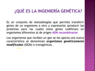 ¿QUÉ ES LA INGENIERÍA GENÉTICA?
Es un conjunto de metodologías que permite transferir
genes de un organismo a otro y expresarlos (producir las
proteínas para las cuales estos genes codifican) en
organismos diferentes al de origen ADN recombinante
Los organismos que reciben un gen se les aporta una nueva
característica se denominan organismos genéticamente
modificados (OGM) o transgénicos.
 