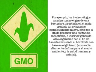 Por ejemplo, los biotecnólogos
pueden tomar el gen de una
bacteria e insertarla en el maíz
creando un organismo
completamente nuevo, esto con el
ﬁn de producir una sustancia
insecticida, o insertar genes de
otro organismo con el ﬁn de
hacerlo resistente al herbicida con
base en el glifosato (sustancia
altamente dañina para el medio
ambiente y la salud humana y
animal).
 