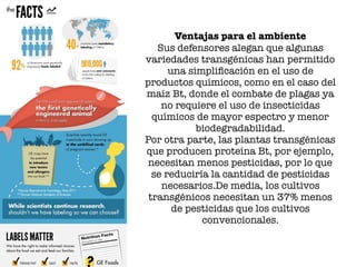 Ventajas para el ambiente
Sus defensores alegan que algunas
variedades transgénicas han permitido
una simpliﬁcación en el uso de
productos químicos, como en el caso del
maíz Bt, donde el combate de plagas ya
no requiere el uso de insecticidas
químicos de mayor espectro y menor
biodegradabilidad.
Por otra parte, las plantas transgénicas
que producen proteína Bt, por ejemplo,
necesitan menos pesticidas, por lo que
se reduciría la cantidad de pesticidas
necesarios.De media, los cultivos
transgénicos necesitan un 37% menos
de pesticidas que los cultivos
convencionales.
 