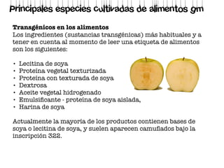 Transgénicos en los alimentos
Los ingredientes (sustancias transgénicas) más habituales y a
tener en cuenta al momento de leer una etiqueta de alimentos
son los siguientes:
• Lecitina de soya
• Proteína vegetal texturizada
• Proteína con texturada de soya
• Dextrosa
• Aceite vegetal hidrogenado
• Emulsiﬁcante - proteína de soya aislada,
• Harina de soya
Actualmente la mayoría de los productos contienen bases de
soya o lecitina de soya, y suelen aparecen camuﬂados bajo la
inscripción 322.
Principales especies cultivadas de alimentos gm
 
