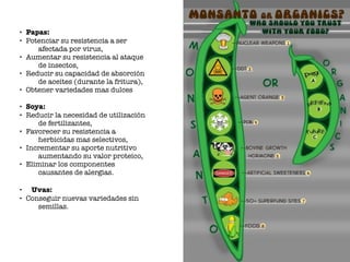 • Papas:
• Potenciar su resistencia a ser
afectada por virus,
• Aumentar su resistencia al ataque
de insectos,
• Reducir su capacidad de absorción
de aceites (durante la fritura),
• Obtener variedades mas dulces
• Soya:
• Reducir la necesidad de utilización
de fertilizantes,
• Favorecer su resistencia a
herbicidas mas selectivos,
• Incrementar su aporte nutritivo
aumentando su valor proteico,
• Eliminar los componentes
causantes de alergias.
• 	 Uvas:
• Conseguir nuevas variedades sin
semillas.
 