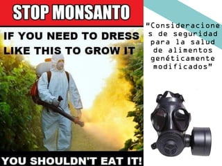 “Consideracione
s de seguridad
para la salud
de alimentos
genéticamente
modificados”
 