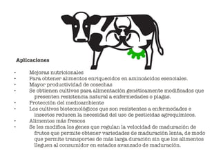 Aplicaciones
• 	 	 Mejoras nutricionales
• 	 	 Para obtener alimentos enriquecidos en aminoácidos esenciales.
• 	 	 Mayor productividad de cosechas
• 	 	 Se obtienen cultivos para alimentación genéticamente modiﬁcados que
presenten resistencia natural a enfermedades o plagas.
• 	 	 Protección del medioambiente
• 	 	 Los cultivos biotecnológicos que son resistentes a enfermedades e
insectos reducen la necesidad del uso de pesticidas agroquímicos.
• 	 	 Alimentos más frescos
• 	 	 Se les modiﬁca los genes que regulan la velocidad de maduración de
frutos que permite obtener variedades de maduración lenta, de modo
que permite transportes de más larga duración sin que los alimentos
lleguen al consumidor en estados avanzado de maduración.
 