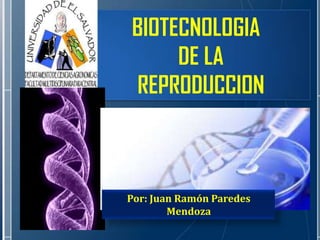 BIOTECNOLOGIA
DE LA
REPRODUCCION
Por: Juan Ramón Paredes
Mendoza
 