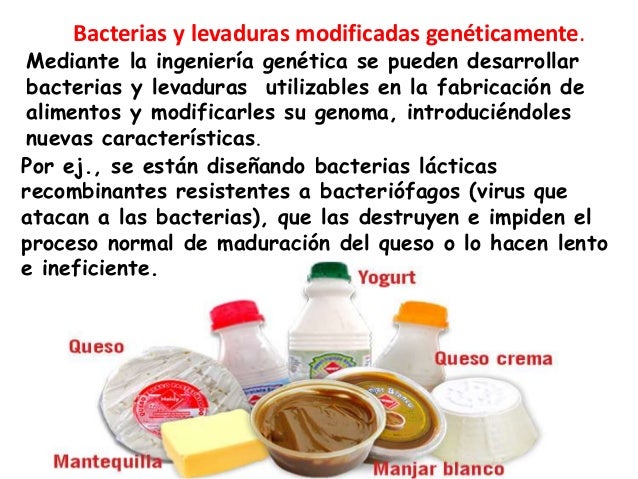 Biotecnologia De Los Alimentos