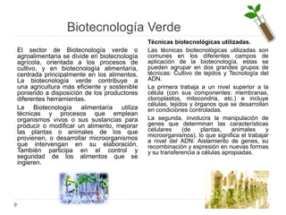 Biotecnología Verde
El sector de Biotecnología verde o
agroalimentaria se divide en biotecnología
agrícola, orientada a los procesos de
cultivo, y en biotecnología alimentaría,
centrada principalmente en los alimentos.
La biotecnología verde contribuye a
una agricultura más eficiente y sostenible
poniendo a disposición de los productores
diferentes herramientas.
La Biotecnología alimentaría utiliza
técnicas y procesos que emplean
organismos vivos o sus sustancias para
producir o modificar un alimento, mejorar
las plantas o animales de los que
provienen, o desarrollar microorganismos
que intervengan en su elaboración.
También participa en el control y
seguridad de los alimentos que se
ingieren.
Técnicas biotecnológicas utilizadas.
Las técnicas biotecnológicas utilizadas son
comunes en los diferentes campos de
aplicación de la biotecnología, estas se
pueden agrupar en dos grandes grupos de
técnicas: Cultivo de tejidos y Tecnología del
ADN.
La primera trabaja a un nivel superior a la
célula (con sus componentes: membranas,
cloroplastos, mitocondria, etc.) e incluye
células, tejidos y órganos que se desarrollan
en condiciones controladas.
La segunda, involucra la manipulación de
genes que determinan las características
celulares (de plantas, animales y
microorganismos), lo que significa el trabajar
a nivel del ADN: Aislamiento de genes, su
recombinación y expresión en nuevas formas
y su transferencia a células apropiadas.
 