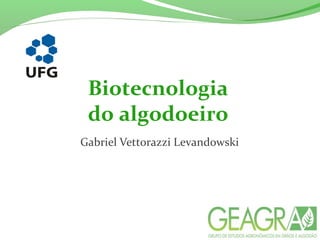 Biotecnologia
do algodoeiro
Gabriel Vettorazzi Levandowski
 