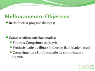 Resistência a pragas e doenças;
Características correlacionadas:
Finura x Comprimento (0,57);
Produtividade de fibra x Índice de fiabilidade (-0,70);
Comprimento x Uniformidade de comprimento
( 0,70).
Melhoramento: Objetivos
 