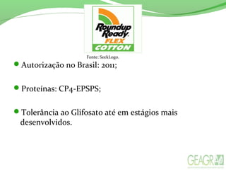 Autorização no Brasil: 2011;
Proteínas: CP4-EPSPS;
Tolerância ao Glifosato até em estágios mais
desenvolvidos.
Fonte: SeekLogo.
 