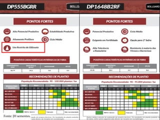 Fonte: JH sementes.
 