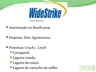 Autorização no Brasil:2009;
Empresa: Dow Agroscience;
Proteínas: Cry1Ac , Cry1F:
Curuquerê;
Lagarta rosada;
Lagarta-da-maçã;
Lagarta do cartucho do milho.
Fonte: PhytoGen.
 