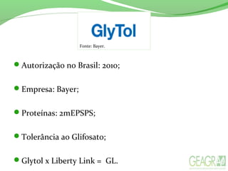 Autorização no Brasil: 2010;
Empresa: Bayer;
Proteínas: 2mEPSPS;
Tolerância ao Glifosato;
Glytol x Liberty Link = GL.
Fonte: Bayer.
 
