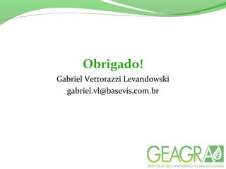 Obrigado!
Gabriel Vettorazzi Levandowski
gabriel.vl@basevis.com.br
 