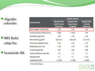 Fonte:Embrapa.
Algodão
colorido:
BRS Rubi:
126@/ha;
Semiárido BR.
 