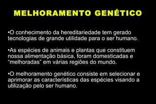 MELHORAMENTO GENÉTICO O conhecimento da hereditariedade tem gerado tecnologias de grande utilidade para o ser humano. As espécies de animais e plantas que constituem nossa alimentação básica, foram domesticadas e “melhoradas” em várias regiões do mundo. O melhoramento genético consiste em selecionar e aprimorar as características das espécies visando a utilização pelo ser humano. 
