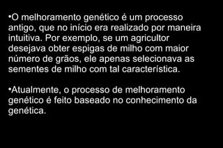 O melhoramento genético é um processo antigo, que no início era realizado por maneira intuitiva. Por exemplo, se um agricultor desejava obter espigas de milho com maior número de grãos, ele apenas selecionava as sementes de milho com tal característica. Atualmente, o processo de melhoramento genético é feito baseado no conhecimento da genética. 