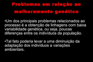 Problemas em relação ao melhoramento genético Um dos principais problemas relacionados ao processo é a obtenção de linhagens com baixa variabilidade genética, ou seja, poucas diferenças entre os indivíduos da população. Tal fato poderia levar a uma diminuição da adaptação dos indivíduos a variações ambientais. 