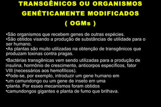 TRANSGÊNICOS OU ORGANISMOS GENÉTICAMENTE MODIFICADOS ( OGMs ) São organismos que recebem genes de outras espécies. São obtidos visando a produção de substâncias de utilidade para o ser humano. As plantas são muito utilizadas na obtenção de transgênicos que produzam toxinas contra pragas. Bactérias transgênicas vem sendo utilizadas para a produção de insulina, hormônio de crescimento, anticorpos específicos, fator VIII (necessários aos hemofílicos). Pode-se, por exemplo, introduzir um gene humano em um camundongo ou um gene de inseto em uma planta. Por esses mecanismos foram obtidos camundongos gigantes e planta de fumo que brilhava. 
