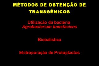 MÉTODOS DE OBTENÇÃO DE TRANSGÊNICOS Utilização da bactéria  Agrobacterium tumefaciens Biobalística Eletroporação de Protoplastos 