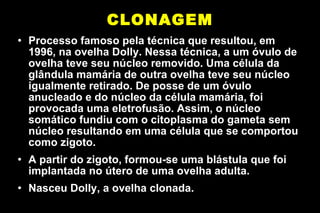 CLONAGEM Processo famoso pela técnica que resultou, em 1996, na ovelha Dolly. Nessa técnica, a um óvulo de ovelha teve seu núcleo removido. Uma célula da glândula mamária de outra ovelha teve seu núcleo igualmente retirado. De posse de um óvulo anucleado e do núcleo da célula mamária, foi provocada uma eletrofusão. Assim, o núcleo somático fundiu com o citoplasma do gameta sem núcleo resultando em uma célula que se comportou como zigoto.  A partir do zigoto, formou-se uma blástula que foi implantada no útero de uma ovelha adulta.  Nasceu Dolly, a ovelha clonada.  