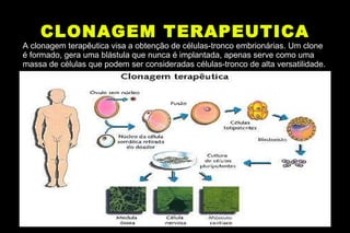 CLONAGEM TERAPEUTICA A clonagem terapêutica visa a obtenção de células-tronco embrionárias. Um clone é formado, gera uma blástula que nunca é implantada, apenas serve como uma massa de células que podem ser consideradas células-tronco de alta versatilidade.  