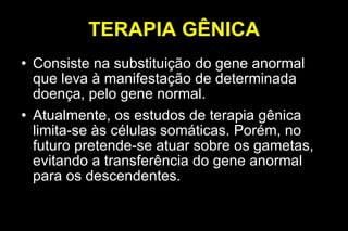 TERAPIA GÊNICA Consiste na substituição do gene anormal que leva à manifestação de determinada doença, pelo gene normal. Atualmente, os estudos de terapia gênica limita-se às células somáticas. Porém, no futuro pretende-se atuar sobre os gametas, evitando a transferência do gene anormal para os descendentes. 