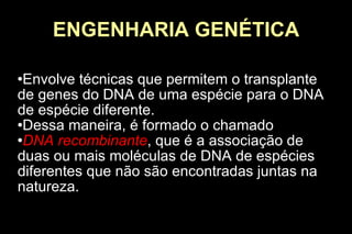 ENGENHARIA GENÉTICA Envolve técnicas que permitem o transplante de genes do DNA de uma espécie para o DNA de espécie diferente. Dessa maneira, é formado o chamado  DNA recombinante , que é a associação de duas ou mais moléculas de DNA de espécies diferentes que não são encontradas juntas na natureza. 