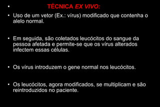 TÉCNICA  EX VIVO: Uso de um vetor (Ex.: vírus) modificado que contenha o alelo normal. Em seguida, são coletados leucócitos do sangue da pessoa afetada e permite-se que os vírus alterados infectem essas células. Os vírus introduzem o gene normal nos leucócitos. Os leucócitos, agora modificados, se multiplicam e são reintroduzidos no paciente. 