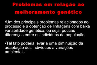 Problemas em relação ao melhoramento genético <ul><li>Um dos principais problemas relacionados ao processo é a obtenção de...