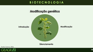10
B I O T E C N O L O G I A
B I O T E C N O L O G I A
Modificação genética
Modificação genética
Modificação genética
Modificação genética
Introdução
Silenciamento
Modificação
Fonte: Canva, 2026.
 