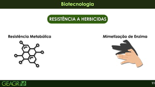 11
Biotecnologia
Biotecnologia
RESISTÊNCIA A HERBICIDAS
RESISTÊNCIA A HERBICIDAS
Resistência Metabólica Mimetização de Enzima
 