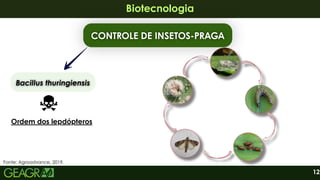 12
Biotecnologia
Biotecnologia
CONTROLE DE INSETOS-PRAGA
CONTROLE DE INSETOS-PRAGA
Bacillus thuringiensis
Bacillus thuringiensis
Ordem dos lepdópteros
Fonte: Agroadvance, 2019.
 