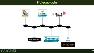 19
Biotecnologia
Biotecnologia
 