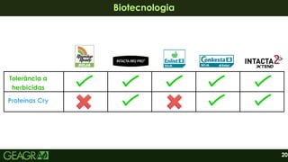 20
Biotecnologia
Biotecnologia
Tolerância a
herbicidas
Proteínas Cry
 