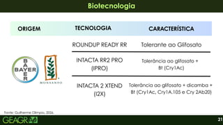 21
Biotecnologia
Biotecnologia
ORIGEM TECNOLOGIA CARACTERÍSTICA
ROUNDUP READY RR Tolerante ao Glifosato
INTACTA 2 XTEND
(I2X)
Tolerância ao glifosato + dicamba +
Bt (Cry1Ac, Cry1A.105 e Cry 2Ab20)
INTACTA RR2 PRO
(IPRO)
Tolerância ao glifosato +
Bt (Cry1Ac)
Fonte: Guilherme Olimpio, 2026.
 