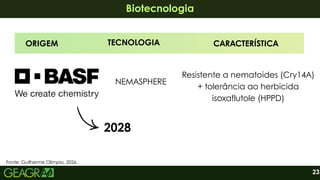 23
Biotecnologia
Biotecnologia
ORIGEM TECNOLOGIA CARACTERÍSTICA
NEMASPHERE
Resistente a nematoides (Cry14A)
+ tolerância ao herbicida
isoxaflutole (HPPD)
2028
Fonte: Guilherme Olimpio, 2026.
 