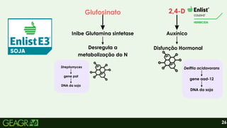 2,4-D
26
Glufosinato
gene aad-12
DNA da soja
Delftia acidovorans
Auxínico
Disfunção Hormonal
Inibe Glutamina sintetase
Desregula a
metabolização do N
gene pat
DNA da soja
Streptomyces
 