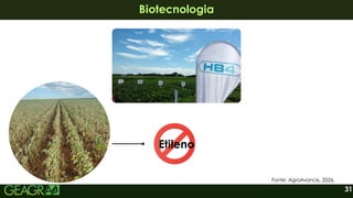 31
Biotecnologia
Biotecnologia
Etileno
Fonte: AgroAvance, 2026.
 