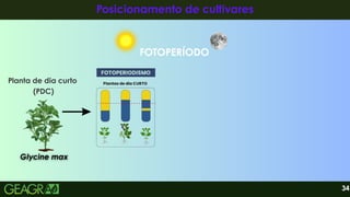 FOTOPERÍODO
34
Posicionamento de cultivares
Posicionamento de cultivares
Planta de dia curto
(PDC)
Glycine max
Glycine max
 