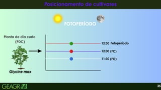FOTOPERÍODO
35
Posicionamento de cultivares
Posicionamento de cultivares
Planta de dia curto
(PDC)
Glycine max
Glycine max
12:30
12:00
11:30
(FC)
(FO)
Fotoperíodo
 